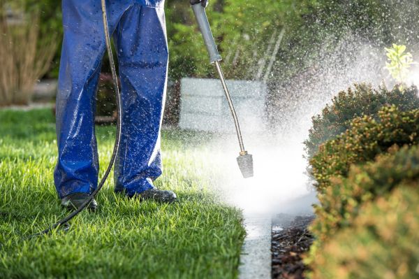Curb Cleaning in Burlington