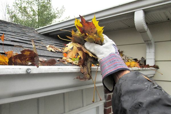 Eaves Cleaning in Burlington
